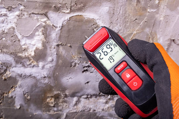Best Best Mold Removal Companies  in Denver City, TX