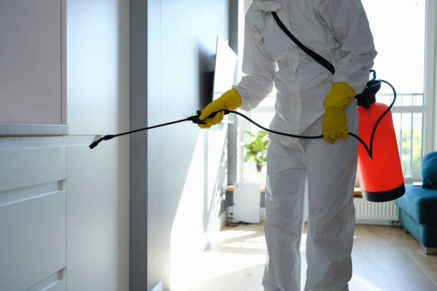 Best Mold Cleaning Services  in Denver City, TX