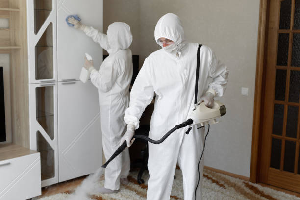 Best Mold Remediation  in Denver City, TX