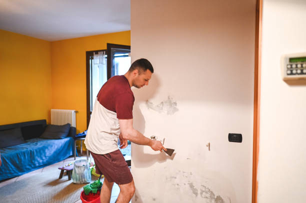 Best Mold Removal and Inspection  in Denver City, TX